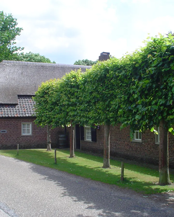 Brabantse langgevelboerderij met leilinden